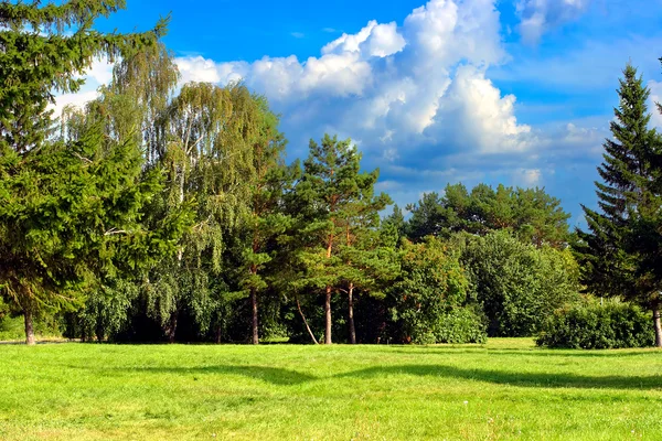 Estate parco paesaggio — Foto Stock