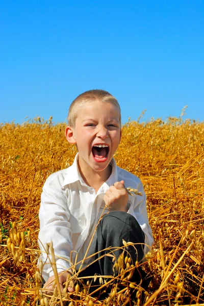 Boy In The Field — Stock Photo, Image