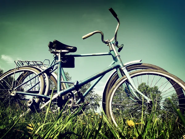 Vintage Bicycle — Stock Photo, Image