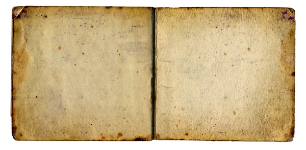 Prázdné stránky staré knihy, samostatný — Stock fotografie