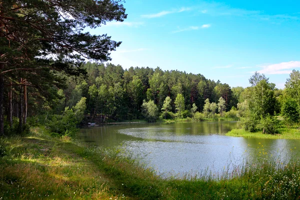 Paisaje de naturaleza de río pequeño — Foto de Stock