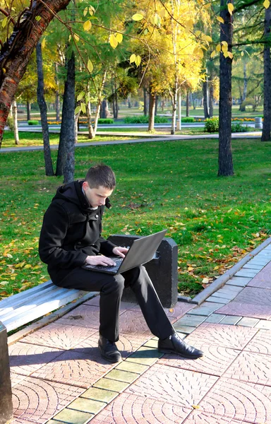 Man aan het werk op laptop in het park — Stockfoto