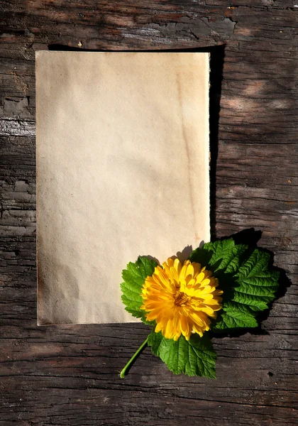 Hârtie albă pe fundal din lemn — Fotografie, imagine de stoc