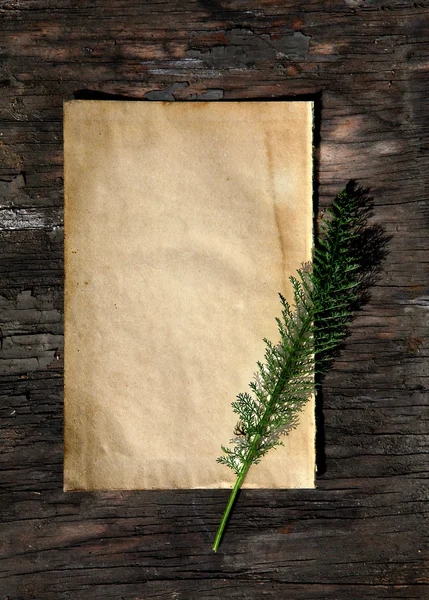 Hârtie albă pe fundal din lemn — Fotografie, imagine de stoc
