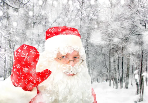 Santa Claus in Winter Forest — Stock Photo, Image