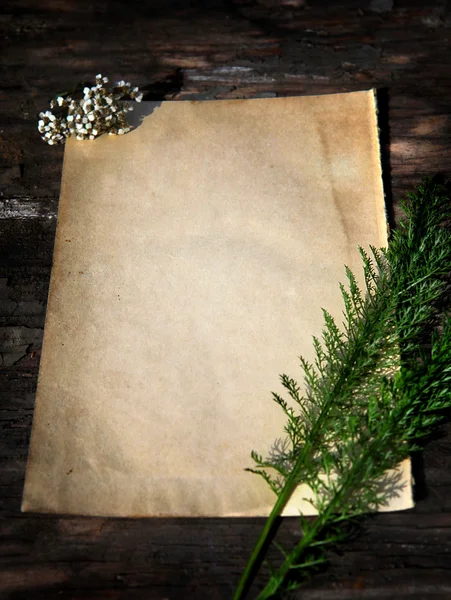 Papel en blanco sobre fondo de madera — Foto de Stock