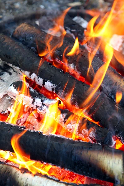 Campfire closeup — Stock Photo, Image