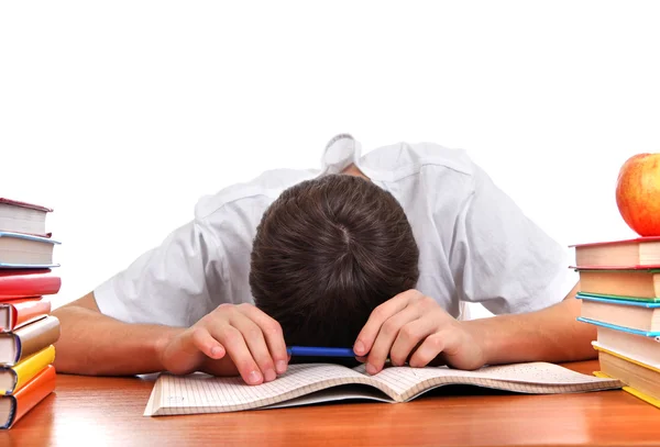 Tired Student sleeping — Stock Photo, Image