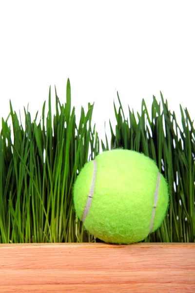 Μπάλα του τένις σε χόρτο φόντο — Φωτογραφία Αρχείου