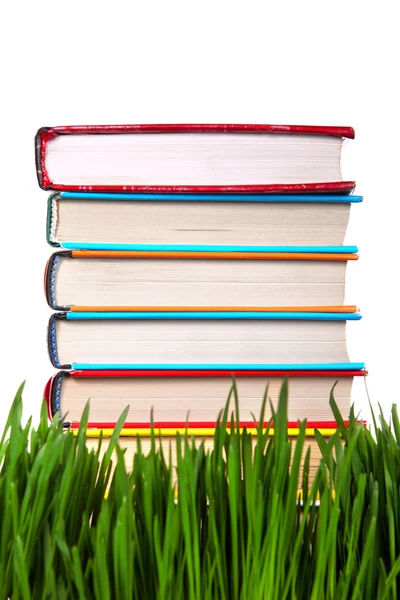 Stapel van de boeken op het gras — Stockfoto