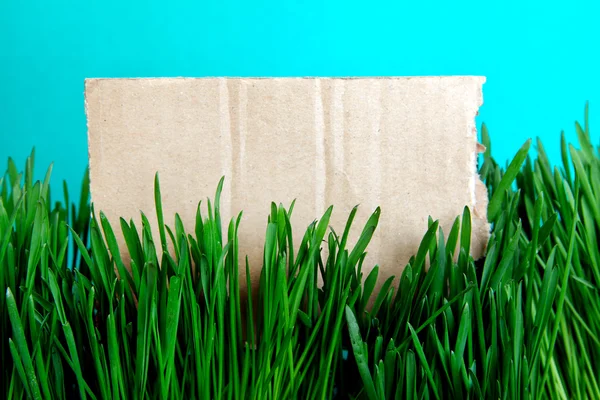 Cartón sobre la hierba — Foto de Stock