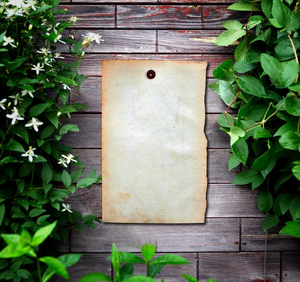 Papel viejo sobre pared de madera — Foto de Stock