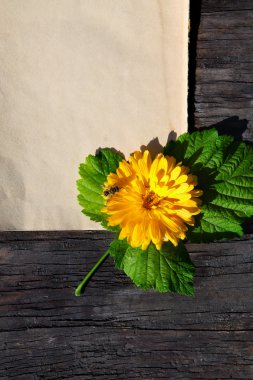 antika arka plan üzerinde çiçek