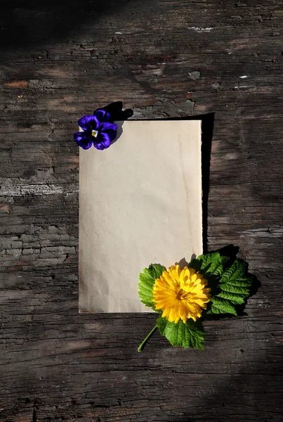 Papel en blanco sobre fondo de madera — Foto de Stock