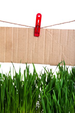 Kılavuzu işareti katarı