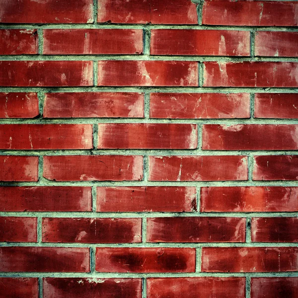 벽돌 벽 배경 — 스톡 사진