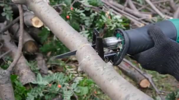 Mand Bruger Saber Saw Til Savning Træ Parykker Udendørs Closeup – Stock-video