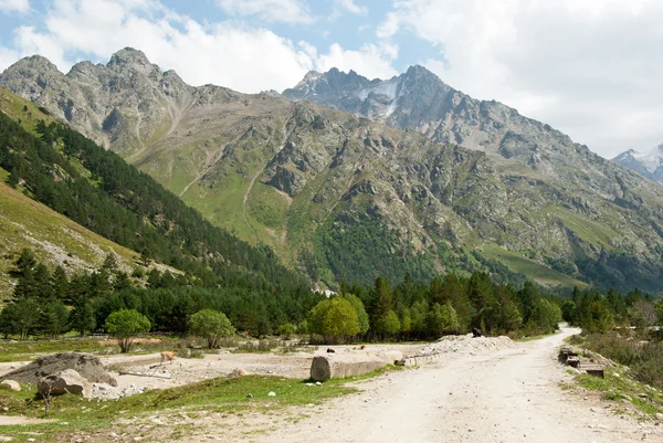 Kabardey-çatışmalar işgalciler (Rusya Adyr-su Vadisi)
