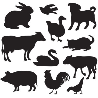 siluetleri ile çizilmiş çiftlik hayvanları el. köpek, kedi, ördek, tavşan, inek, domuz, horoz, tavuk, kuğu, köpek, yavru kedi.