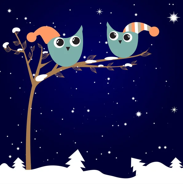 Christmas greeting card with owls couple — Stock Vector