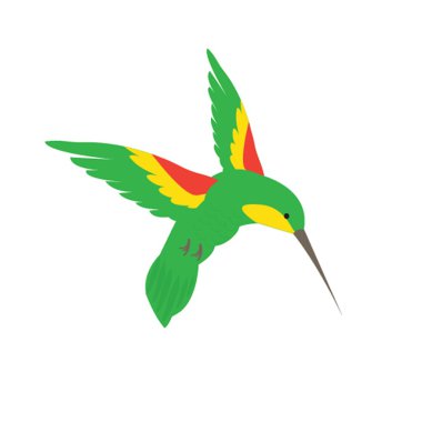 çiçekler yaz aylarında beslenme himmingbird güve