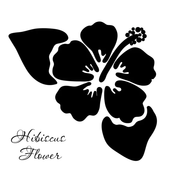 Ilustração vetorial da flor de hibisco —  Vetores de Stock