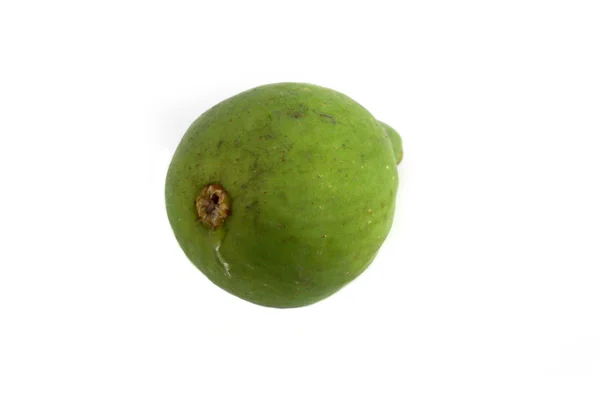 Fig verde — Foto de Stock