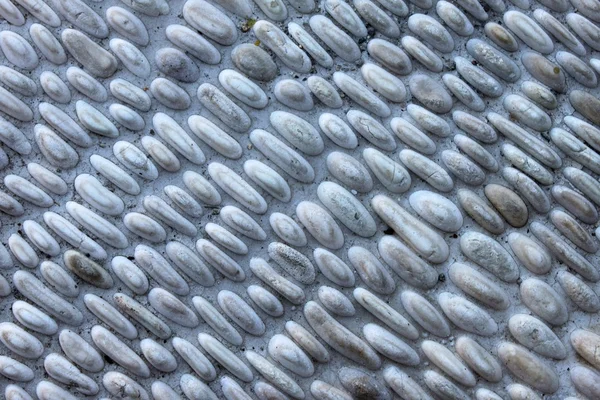 Pebbles mur de pierre — Photo
