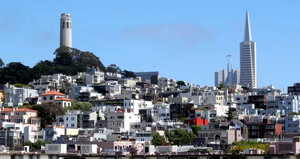 Torre de coit san francisco — Foto de Stock