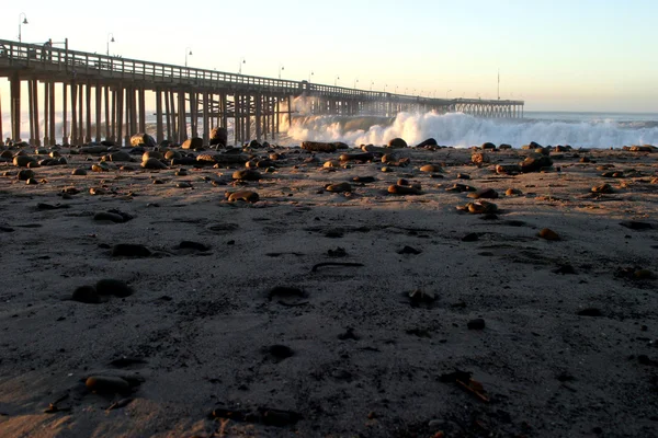 Ventura pier sturm våg — Stockfoto