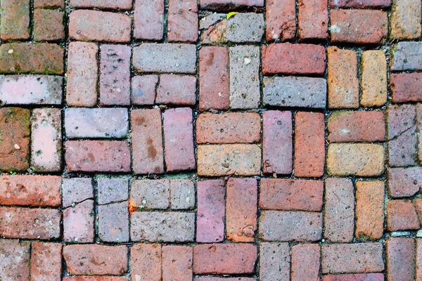 Brick Path — Stock Photo, Image