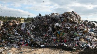 çalışma Ekskavatör enkazı dökümü