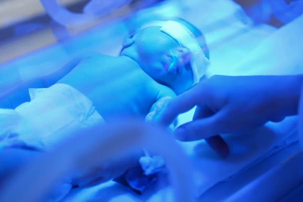 Premature baby in een incubator — Stockvideo