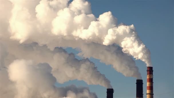 Thermal power plant, smoke — Stock Video