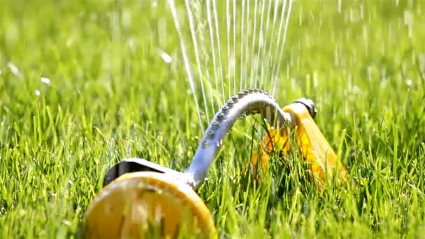 Sprinkler. Sprinkler versprüht Wasser auf Hinterhof grünes Gras — Stockvideo