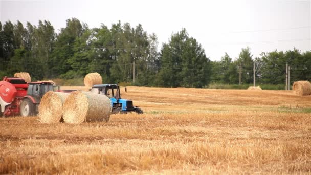 Maaimachine. trekker maakt Balen stro — Stockvideo