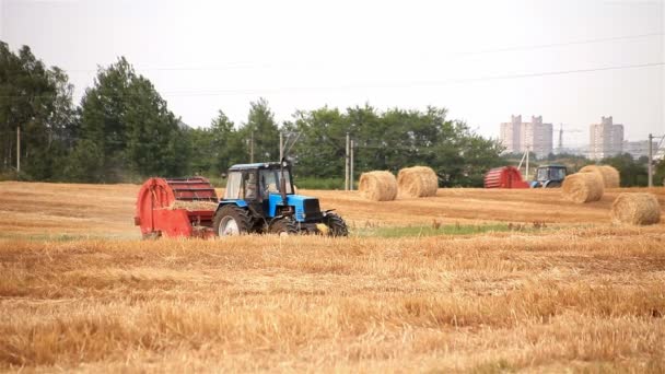 Skördare. traktorn gör balar av halm — Stockvideo