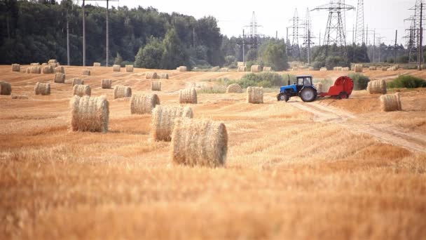 Harvester. tractor makes bales of straw — Stock Video