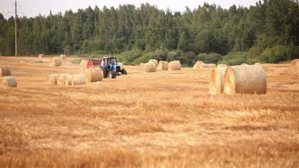 Harvester. tractor makes bales of straw — Stock Video