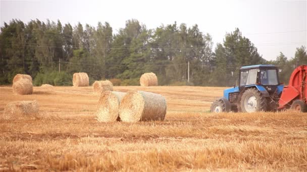 Erntemaschine. Traktor macht Strohballen — Stockvideo