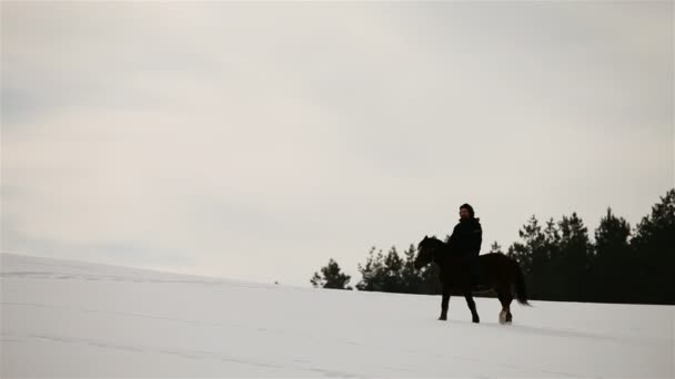 騎手は馬に乗る。冬のフィールド — ストック動画