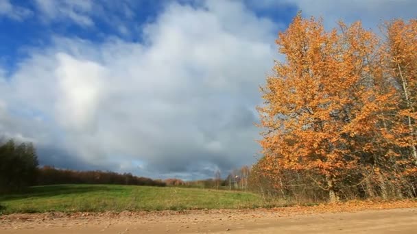 Осенний пейзаж с опадающими листьями — стоковое видео
