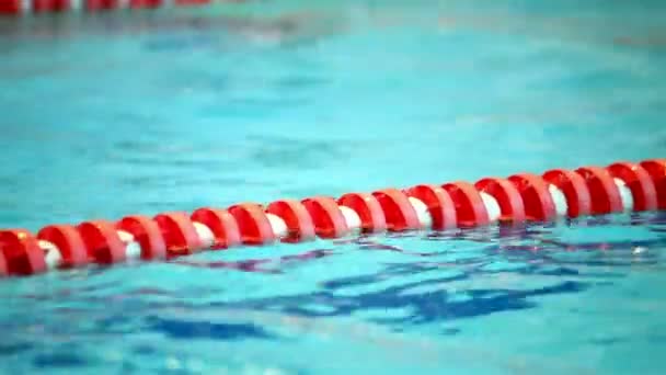 Treino, piscina — Vídeo de Stock