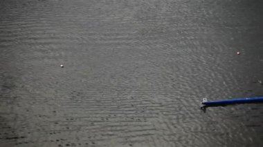 Rowers eğitim sporcular