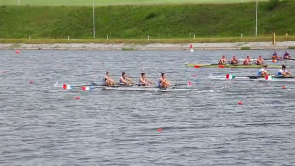 Competition in rowing — Stock Video