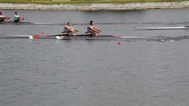 Competition in rowing — Stock Video