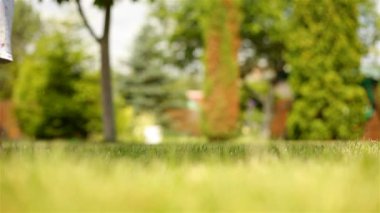 Bebek ilk adımları çimenlerin üzerinde