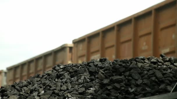 Graafmachines, lossen steenkool van een lading trein — Stockvideo