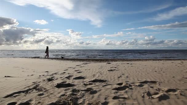 Flicka promenader längs stranden med hund — Stockvideo