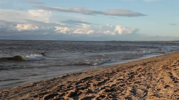 Ondas marinas en la orilla . — Vídeo de stock